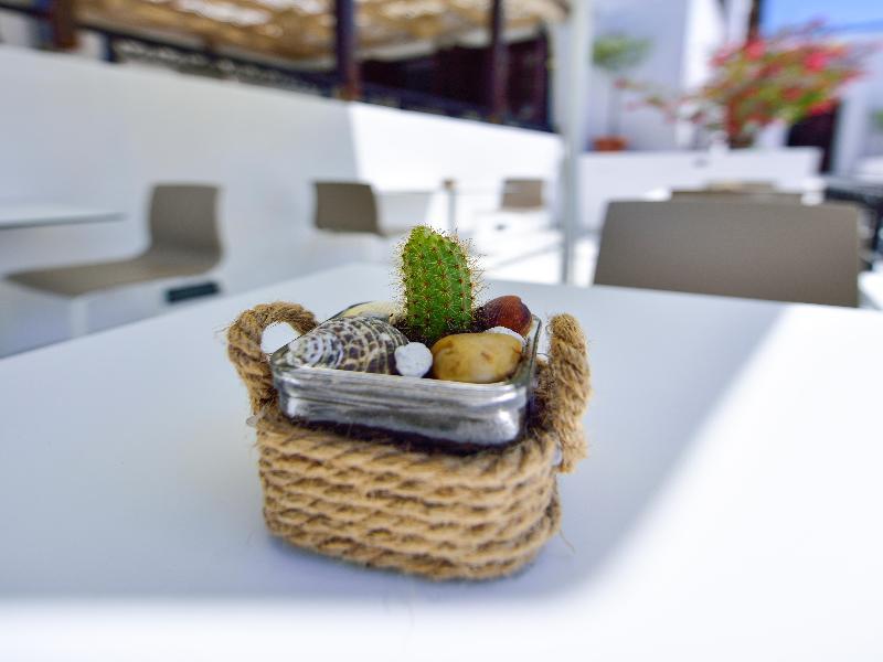Kalidon Beach Hotel كوكاري المظهر الخارجي الصورة